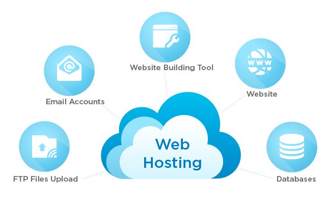 Web Hosting Company